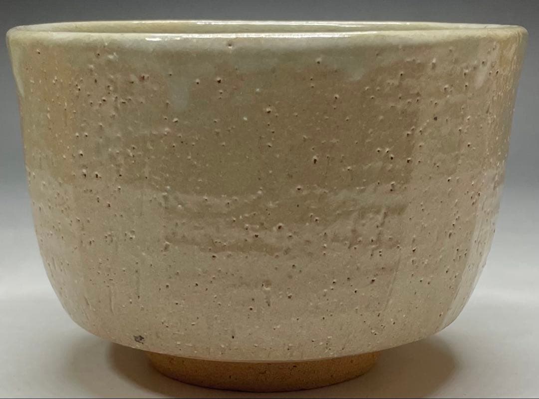 Shimizu Hiroshi Rakuzan Kiln Iro-e Camellia Tea Bowl Matsue Chawan