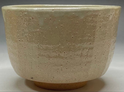 Shimizu Hiroshi Rakuzan Kiln Iro-e Camellia Tea Bowl Matsue Chawan