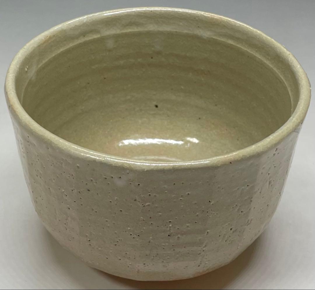 Shimizu Hiroshi Rakuzan Kiln Iro-e Camellia Tea Bowl Matsue Chawan