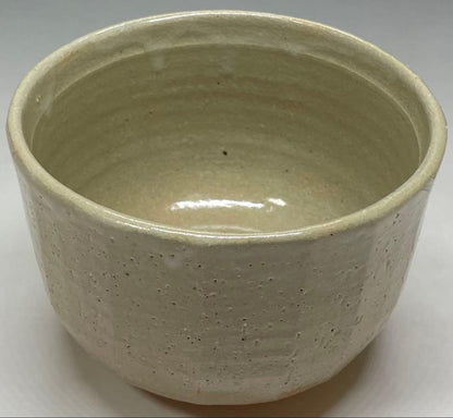 Shimizu Hiroshi Rakuzan Kiln Iro-e Camellia Tea Bowl Matsue Chawan