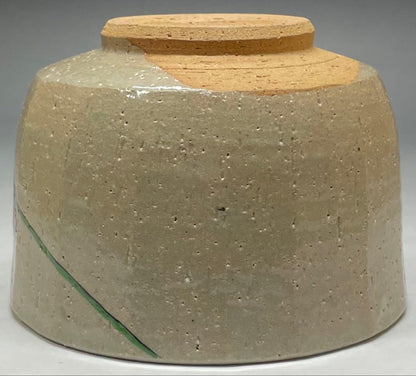Shimizu Hiroshi Rakuzan Kiln Iro-e Camellia Tea Bowl Matsue Chawan