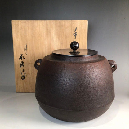Tedori Chagama by Living National Treasure Takahashi Keitei - Cast Iron Tea Kettle with Box