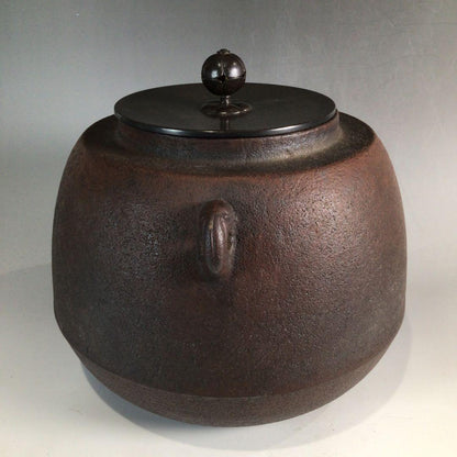 Tedori Chagama by Living National Treasure Takahashi Keitei - Cast Iron Tea Kettle with Box