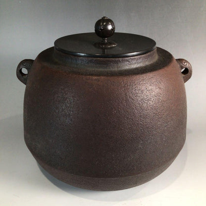 Tedori Chagama by Living National Treasure Takahashi Keitei - Cast Iron Tea Kettle with Box