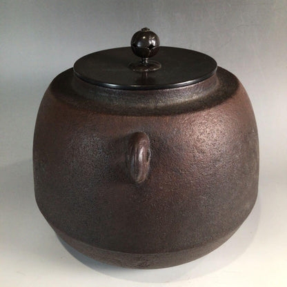 Tedori Chagama by Living National Treasure Takahashi Keitei - Cast Iron Tea Kettle with Box