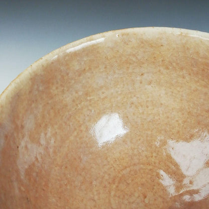 Hagi Ware Tea Bowl by Nakamura Nifuu - Oya Kiln Chawan with Daitokuji Inscription Box