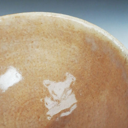 Hagi Ware Tea Bowl by Nakamura Nifuu - Oya Kiln Chawan with Daitokuji Inscription Box