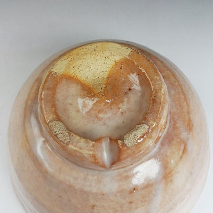Hagi Ware Tea Bowl by Nakamura Nifuu - Oya Kiln Chawan with Daitokuji Inscription Box