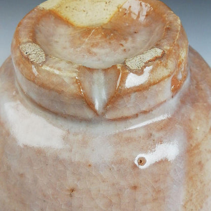 Hagi Ware Tea Bowl by Nakamura Nifuu - Oya Kiln Chawan with Daitokuji Inscription Box