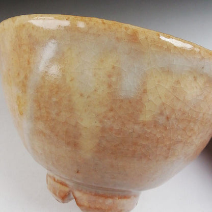 Hagi Ware Tea Bowl by Nakamura Nifuu - Oya Kiln Chawan with Daitokuji Inscription Box