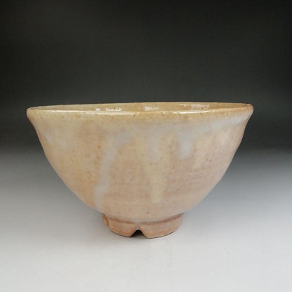 Hagi Ware Tea Bowl by Nakamura Nifuu - Oya Kiln Chawan with Daitokuji Inscription Box