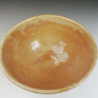 Hagi Ware Tea Bowl by Nakamura Nifuu - Oya Kiln Chawan with Daitokuji Inscription Box
