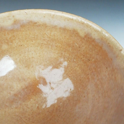 Hagi Ware Tea Bowl by Nakamura Nifuu - Oya Kiln Chawan with Daitokuji Inscription Box