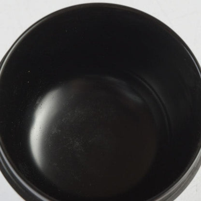 Wajima Lacquer Natsume Tea Caddy with Willow Maki-e by Okazawa Kiko — Signed Tomobako