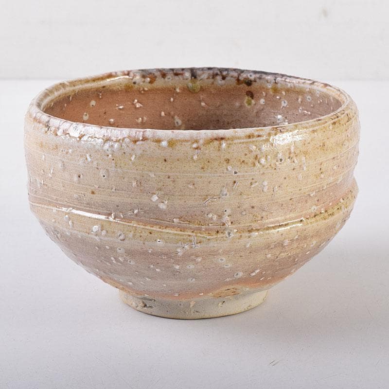 Ogawa Rakuzan Shigaraki Chawan Tea Bowl Natural Ash Glaze Ishihaze