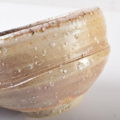 Ogawa Rakuzan Shigaraki Chawan Tea Bowl Natural Ash Glaze Ishihaze