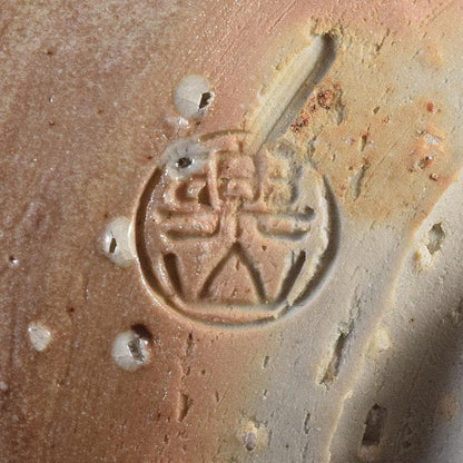 Ogawa Rakuzan Shigaraki Chawan Tea Bowl Natural Ash Glaze Ishihaze