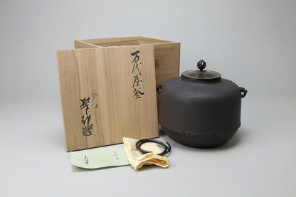 Masuyama Keitetsu Tea Kettle – Mandai-ya Art Kama – Japan Ironware