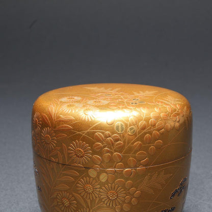 Autumn Grasses on Pure Gold Ground — Kin-ji Maki-e Natsume by Shimizu Sosui | Chrysanthemum Susuki Bellflower