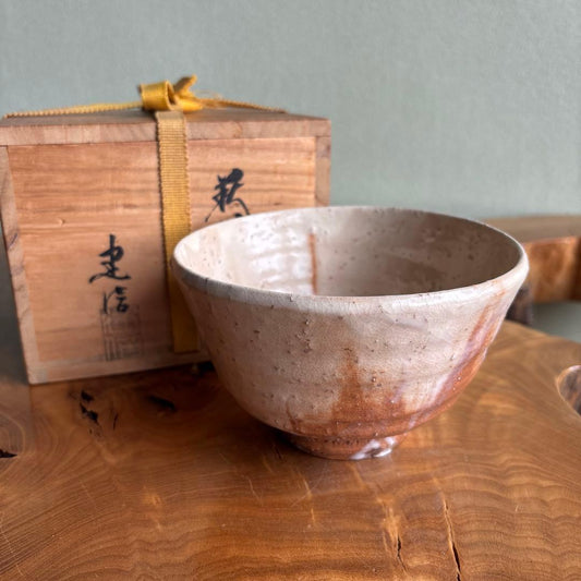 Kohagi-gama Hagi Chawan by Koto Tatsunobu — Shiro-hagi Glaze, Tomobako