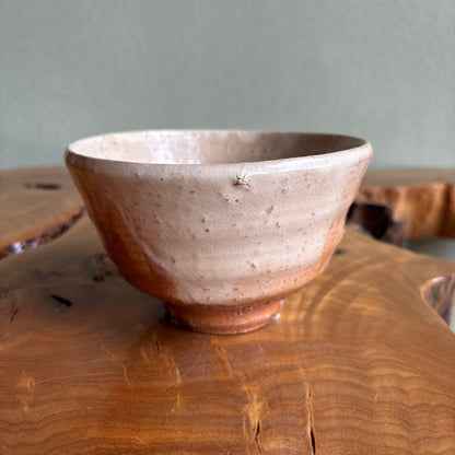 Kohagi-gama Hagi Chawan by Koto Tatsunobu — Shiro-hagi Glaze, Tomobako