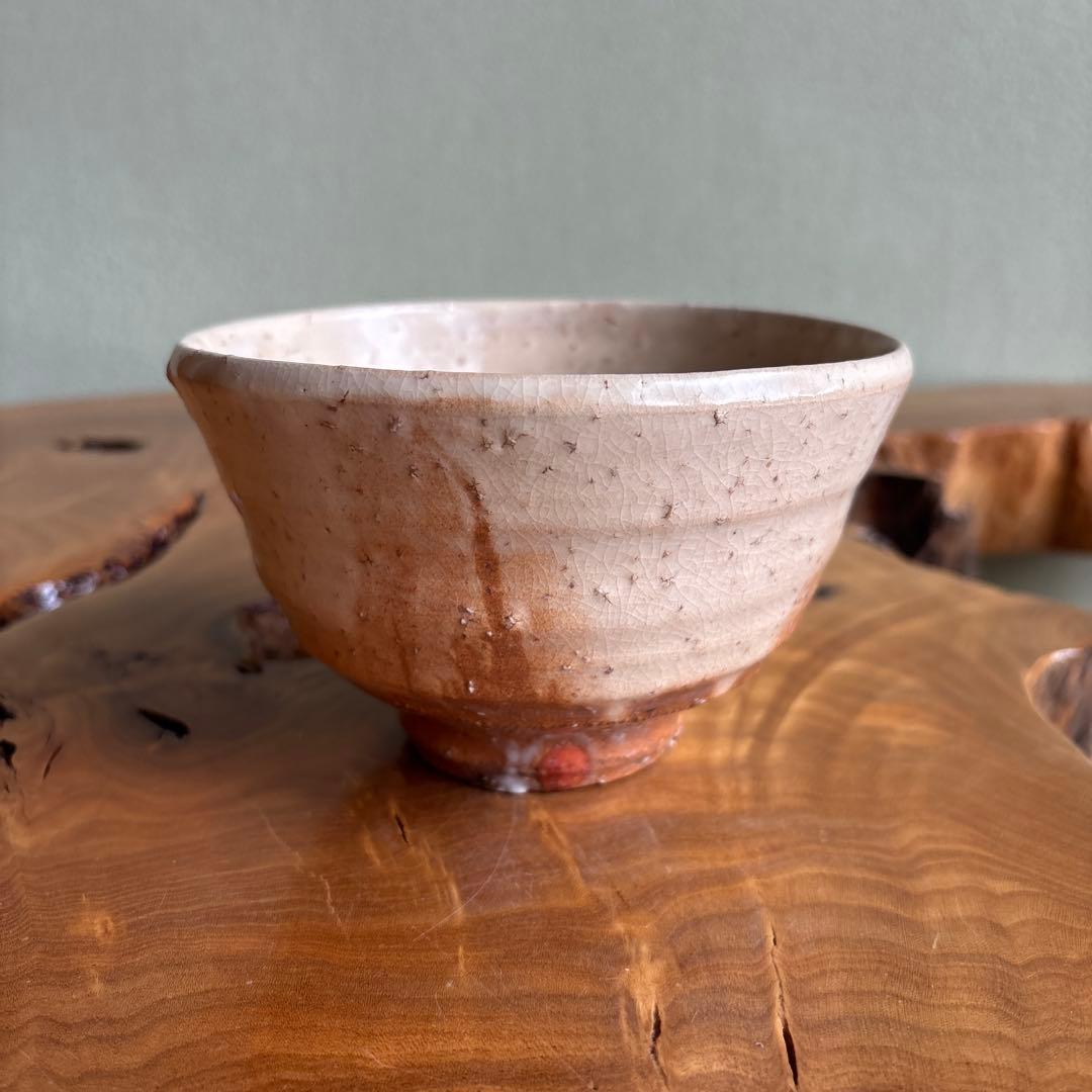 Kohagi-gama Hagi Chawan by Koto Tatsunobu — Shiro-hagi Glaze, Tomobako