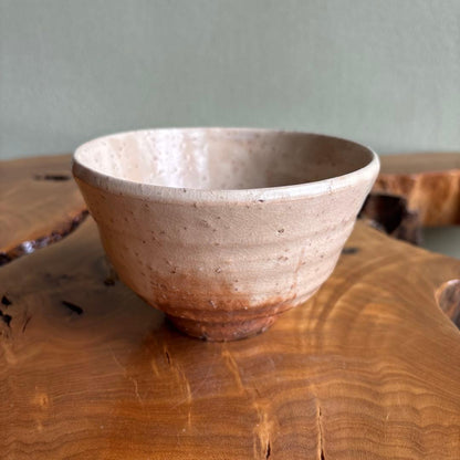 Kohagi-gama Hagi Chawan by Koto Tatsunobu — Shiro-hagi Glaze, Tomobako